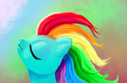 Size: 2000x1300 | Tagged: safe, artist:xbi, character:rainbow dash, species:pony, color porn, female, mane, profile, solo