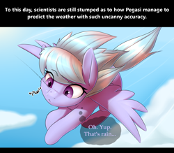 Size: 2400x2100 | Tagged: safe, artist:captainpudgemuffin, character:cloudchaser, species:pegasus, species:pony, cloud, commission, cute, cutechaser, female, flying, innocence, mare, rain, solo, spread wings, thought bubble, wings