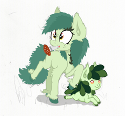 Size: 1529x1413 | Tagged: safe, artist:paskanaakka, derpibooru original, oc, oc only, oc:bittergreen, oc:sweetleaf, species:earth pony, species:pony, baby, baby pony, chest fluff, colored hooves, duo, ear fluff, female, filly, freckles, mushroom, nose wrinkle, simple background, sisters, smiling, unshorn fetlocks