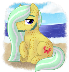 Size: 830x860 | Tagged: safe, artist:tambelon, oc, oc only, oc:driftwood, species:pony, beach, beard, facial hair, freckles, looking at you, male, sideburns, simple background, solo, stallion, transparent background, watermark