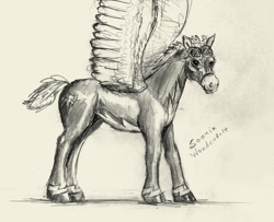 Size: 1162x944 | Tagged: safe, artist:xbi, character:soarin', species:pegasus, species:pony, g4, clothing, grayscale, hoers, male, monochrome, pencil drawing, realistic, simple background, solo, spread wings, stallion, text, three quarter view, traditional art, uniform, wings, wonderbolts uniform