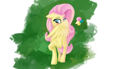 Size: 3840x2160 | Tagged: safe, artist:phenya, character:fluttershy, species:pony, blushing, covering, covering face, cute, female, floppy ears, head turn, shy, shyabetes, simple background, solo, wing covering