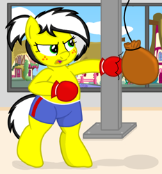 Size: 2790x3000 | Tagged: safe, artist:an-tonio, artist:toyminator900, edit, oc, oc only, oc:uppercute, species:pony, bipedal, boxing gloves, clothing, freckles, punching bag, shorts, solo, window