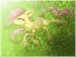 Size: 900x675 | Tagged: safe, artist:inuhoshi-to-darkpen, character:fluttershy, species:pegasus, species:pony, dappled sunlight, eyes closed, female, field, filly, foal, grass, happy, on side, sleeping, smiling, solo