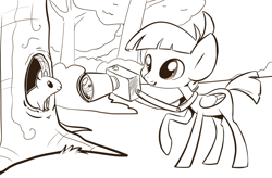 Size: 1014x664 | Tagged: safe, artist:php27, character:featherweight, species:pegasus, species:pony, camera, squirrel