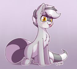Size: 2000x1800 | Tagged: safe, artist:dsp2003, oc, oc only, oc:bandy cyoot, species:earth pony, species:pony, blep, blushing, chest fluff, cute, female, gradient background, looking at you, mare, ocbetes, raccoon pony, silly, sitting, solo, striped tail, tongue out