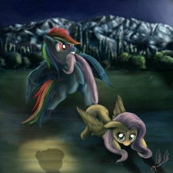 Size: 1600x1600 | Tagged: safe, artist:miokomata, character:fluttershy, character:rainbow dash, character:twilight sparkle