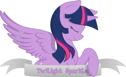 Size: 4964x3033 | Tagged: safe, artist:kopcap94, artist:php27, edit, character:twilight sparkle, character:twilight sparkle (alicorn), species:alicorn, species:pony, absurd resolution, banner, color edit, colored, cutie mark, eyes closed, female, high res, mare, profile, simple background, smiling, solo, spread wings, transparent background, vector, vector edit, wings