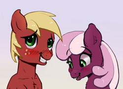 Size: 730x528 | Tagged: safe, artist:xbi, character:big mcintosh, character:cheerilee, species:pony, ship:cheerimac, blushing, female, male, shipping, straight