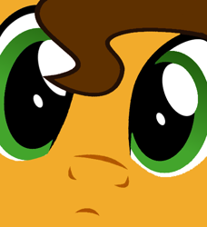 Size: 500x549 | Tagged: safe, artist:grapefruitface1, artist:light262, derpibooru original, part of a set, character:cheese sandwich, close up series, close-up, confused, extreme close up, face, looking at you, male, solo