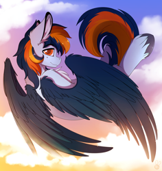 Size: 2300x2440 | Tagged: safe, artist:meggchan, oc, oc only, oc:skysail, species:hippogriff, species:pony, chest fluff, fluffy, flying, looking at you, male, solo, spread wings, stallion, sunset, unshorn fetlocks, wings