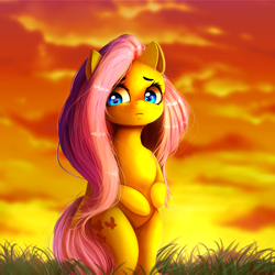 Size: 1024x1024 | Tagged: safe, artist:miokomata, character:fluttershy, species:pegasus, species:pony, beautiful, bipedal, cloud, cloudy, cute, detailed hair, female, freckles, frown, grass, looking away, looking down, mare, outdoors, shy, shyabetes, solo, standing, sunset