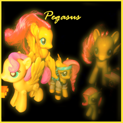 Size: 2000x2000 | Tagged: safe, artist:grapefruitface1, character:fluttershy, species:pegasus, species:pony, album cover, army, black background, female, figure, genesis, irl, lego, photo, pirate costume, ponidox, self ponidox, simple background, toy