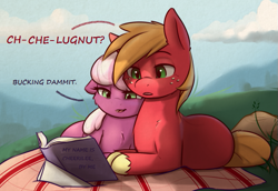 Size: 685x471 | Tagged: safe, artist:captainpudgemuffin, edit, editor:symphonic sync, character:big mcintosh, character:cheerilee, species:earth pony, species:pony, ship:cheerimac, blanket, book, cheeribetes, cloud, cropped, cute, dialogue, female, freckles, grass, illiteracy, lidded eyes, macabetes, male, mare, open mouth, ponyloaf, prone, reading, shipping, sky, smiling, snuggling, stallion, straight, tree, unshorn fetlocks, vuldorable, vulgar, younger