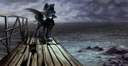 Size: 1280x666 | Tagged: safe, artist:holivi, species:pegasus, species:pony, clothing, commission, lidded eyes, male, ocean, solo, stallion, water