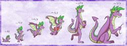 Size: 1024x377 | Tagged: safe, artist:inuhoshi-to-darkpen, character:spike, species:dragon, adult, adult spike, age progression, baby, baby dragon, book, crawling, evolution, fangs, flying, growth chart, older, older spike, paper, profile, quill, simple background, sitting up, smiling, teenage spike, teenager, walking, winged spike, wings, younger