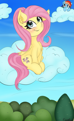 Size: 1350x2200 | Tagged: safe, artist:freefraq, character:fluttershy, character:rainbow dash, species:pegasus, species:pony, cloud, cute, duo, female, mare, shyabetes, sitting, sitting on a cloud, sneaky