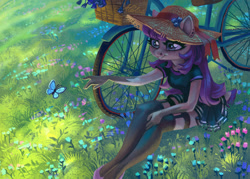 Size: 1280x919 | Tagged: safe, artist:holivi, oc, oc only, species:anthro, species:plantigrade anthro, species:pony, anthro oc, bicycle, butterfly, clothing, female, grass, hat, mare, sitting, smiling, stockings, thigh highs