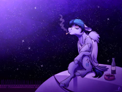Size: 1024x768 | Tagged: safe, artist:inuhoshi-to-darkpen, oc, oc only, oc:delta vee, species:pegasus, species:pony, bags under eyes, cigarette, clothing, female, looking up, mare, night, night sky, sky, smoking, stars