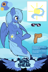 Size: 3872x5728 | Tagged: safe, artist:beardie, oc, oc only, oc:wind shear, species:pegasus, species:pony, clothing, female, flying, mare, reference sheet, skyline, solo