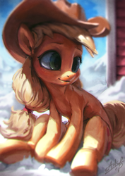 Size: 850x1200 | Tagged: safe, artist:assasinmonkey, character:applejack, species:earth pony, species:pony, clothing, cowboy hat, cute, female, hat, jackabetes, mare, signature, sitting, smiling, snow, solo, stetson, winter