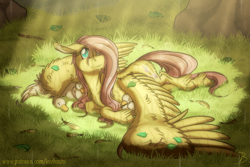 Size: 1647x1101 | Tagged: safe, artist:inuhoshi-to-darkpen, character:fluttershy, species:bird, species:pegasus, species:pony, animal, crepuscular rays, cute, female, floppy ears, fluffy, goose, grass, hair over one eye, head turn, kindness, looking up, mare, outdoors, prone, rain, shyabetes, spread wings, stray strand, unshorn fetlocks, wet mane, wing umbrella, wings