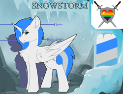 Size: 5968x4542 | Tagged: safe, artist:beardie, oc, oc only, oc:snowstorm, species:alicorn, species:pony, absurd resolution, alicorn oc, commission, male, reference sheet, tall
