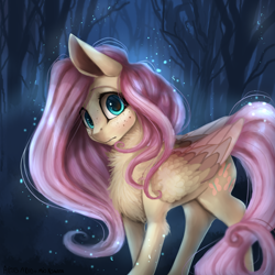 Size: 4000x4000 | Tagged: safe, artist:alissa1010, artist:miokomata, character:fluttershy, species:pegasus, species:pony, g4, absurd resolution, chest fluff, collaboration, cute, cute little fangs, fangs, female, freckles, leg fluff, looking at you, mare, neck fluff, night, shyabetes, solo, wing fluff