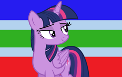 Size: 800x507 | Tagged: safe, artist:themexicanpunisher, character:twilight sparkle, character:twilight sparkle (alicorn), species:alicorn, species:pony, female, heterosexual, heterosexual flag, heterosexuality, op is a duck, op is trying to start shit, pride, pride flag, solo, straight, straight pride flag, tradition