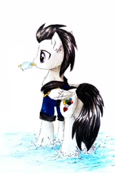 Size: 1878x2818 | Tagged: safe, artist:liaaqila, oc, oc only, oc:pipe dream, species:pegasus, species:pony, clothing, commission, costume, food, heart, ice cream, kingdom hearts, sea salt ice cream, shadowbolts, shadowbolts costume, water