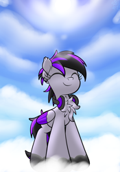 Size: 3000x4290 | Tagged: safe, artist:kimjoman, oc, oc only, species:pegasus, species:pony, accessories, chest fluff, cloud, commission, ear fluff, ear piercing, earring, eyes closed, female, headphones, jewelry, outdoors, piercing, sky, solo, standing, standing on a cloud