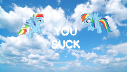 Size: 852x480 | Tagged: safe, artist:frownfactory, artist:trotsworth, character:rainbow dash, species:pony, cloud, cloud words, crossed arms, dashblitz, female, irl, looking at words, male, photo, ponidox, ponies in real life, rainbow blitz, rule 63, self ponidox, selfcest, shipping, straight, unamused, vector, you suck