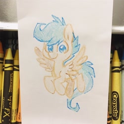 Size: 2048x2048 | Tagged: safe, artist:dawnfire, oc, oc only, species:pegasus, species:pony, crayon drawing, solo, traditional art