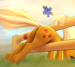 Size: 1602x1448 | Tagged: safe, artist:xbi, edit, editor:anonymous, character:applejack, character:rainbow dash, species:pony, applebutt, butt, buttstuck, faec, fail, plot, silly, silly pony, smug, smugdash, stuck, who's a silly pony