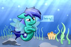 Size: 3000x2000 | Tagged: safe, artist:kimjoman, oc, oc only, oc:magnifying glass, species:pegasus, species:pony, species:seapony (g4), colt, commission, cute, male, outdoors, serious, serious face, solo, text, underwater, wings