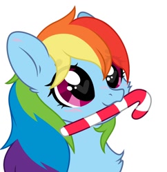 Size: 1024x1058 | Tagged: safe, artist:lazuli, artist:rioshi, artist:starshade, base used, character:rainbow dash, species:pegasus, species:pony, beanbrows, blushing, bust, candy, candy cane, cheek fluff, chest fluff, commission, cute, dashabetes, eye clipping through hair, eyebrows, eyebrows visible through hair, female, food, heart eyes, looking up, mare, mouth hold, never doubt blaa6 involvement, portrait, simple background, solo, white background, wingding eyes, ych result