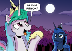 Size: 2631x1860 | Tagged: safe, artist:pony-berserker, character:princess celestia, character:princess luna, species:alicorn, species:pony, female, full moon, i can't believe it's not idw, is this a pigeon, luna is not amused, mare, meme, moon, royal sisters, unamused