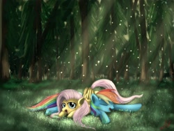 Size: 1600x1200 | Tagged: safe, artist:miokomata, character:fluttershy, character:rainbow dash, crepuscular rays, duo, eyes closed, forest, light, on top, prone