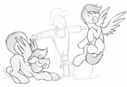 Size: 4096x2834 | Tagged: safe, artist:dripponi, oc, oc only, oc:noxy, oc:windy dripper, species:pegasus, species:pony, behaving like a bird, black and white, grayscale, male, monochrome, noxydrip, scarecrow