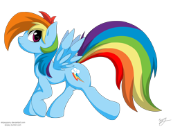 Size: 2500x1833 | Tagged: safe, artist:skipsy, character:rainbow dash, species:pegasus, species:pony, female, looking at you, mare, signature, simple background, solo, spread wings, transparent background, walking, wings