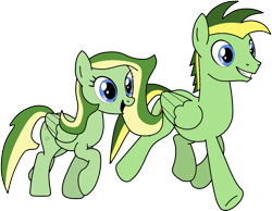 Size: 1014x788 | Tagged: safe, artist:didgereethebrony, base used, oc, oc:boomerang beauty, oc:didgeree, species:pegasus, species:pony, boomeree, brother and sister, cutie mark, female, male, mare, siblings, simple background, stallion, trace, transparent background