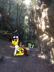 Size: 772x1035 | Tagged: safe, artist:didgereethebrony, part of a set, oc, oc:didgeree, oc:ponyseb, species:pegasus, species:pony, 1000 hours in ms paint, australia, blue mountains, cliff, clothing, didgeree collection, eucalyptus, hat, hunter valley, irl, mlp in australia, photo, ponies in real life, sweater, tree