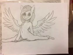 Size: 1024x768 | Tagged: safe, artist:miokomata, character:fluttershy, species:pegasus, species:pony, female, freckles, mare, monochrome, semi-anthro, sketch, splits, traditional art