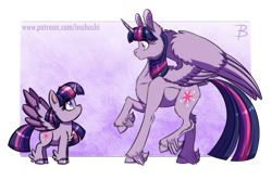 Size: 1807x1200 | Tagged: safe, artist:inuhoshi-to-darkpen, character:twilight sparkle, character:twilight sparkle (alicorn), species:alicorn, species:pony, my little pony:pony life, abstract background, butt fluff, cheek fluff, chest fluff, chibi, colored pupils, colored wings, colored wingtips, confused, duality, ear fluff, eye contact, feathered fetlocks, female, fluffy, frown, generational ponidox, hoof fluff, leg fluff, looking at each other, looking down, looking up, mare, ponidox, raised hoof, raised leg, self ponidox, shoulder fluff, simple background, spread wings, time paradox, transparent background, twolight, unshorn fetlocks, wide eyes, wing fluff, wings