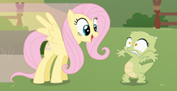 Size: 900x466 | Tagged: safe, artist:queencold, character:fluttershy, oc, oc:jade, species:dragon, species:pegasus, species:pony, dragon oc, dragoness, duo, duo female, female, looking at each other, mare