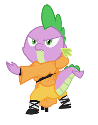 Size: 400x512 | Tagged: safe, artist:queencold, character:spike, species:dragon, black belt, clothing, glare, kung fu, male, martial arts, robe, shoes, simple background, solo, transparent background, trousers