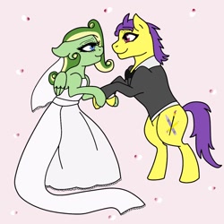 Size: 894x894 | Tagged: safe, artist:didgereethebrony, base used, oc, oc:boomerang beauty, oc:doodley, species:earth pony, species:pegasus, species:pony, clothing, cutie mark, dancing, doomerang, dress, eye contact, flower petals, looking at each other, missing accessory, oc x oc, shipping, suit, trace, tuxedo, wedding dress, wedding veil
