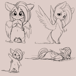 Size: 4000x4000 | Tagged: safe, artist:miokomata, character:fluttershy, species:bird, species:pegasus, species:penguin, species:pony, behaving like a bird, belly button, chest fluff, featureless crotch, female, floppy ears, freckles, hybrid, looking at you, mare, monochrome, simple background, white background