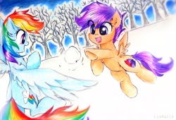 Size: 3415x2322 | Tagged: safe, artist:liaaqila, character:rainbow dash, character:scootaloo, species:pegasus, species:pony, commission, cutie mark, scootalove, snow, snowball, snowball fight, the cmc's cutie marks, tree