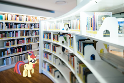 Size: 1957x1306 | Tagged: safe, artist:luckreza8, character:moondancer, species:pony, species:unicorn, book, bookshelf, female, glasses, irl, library, photo, ponies in real life